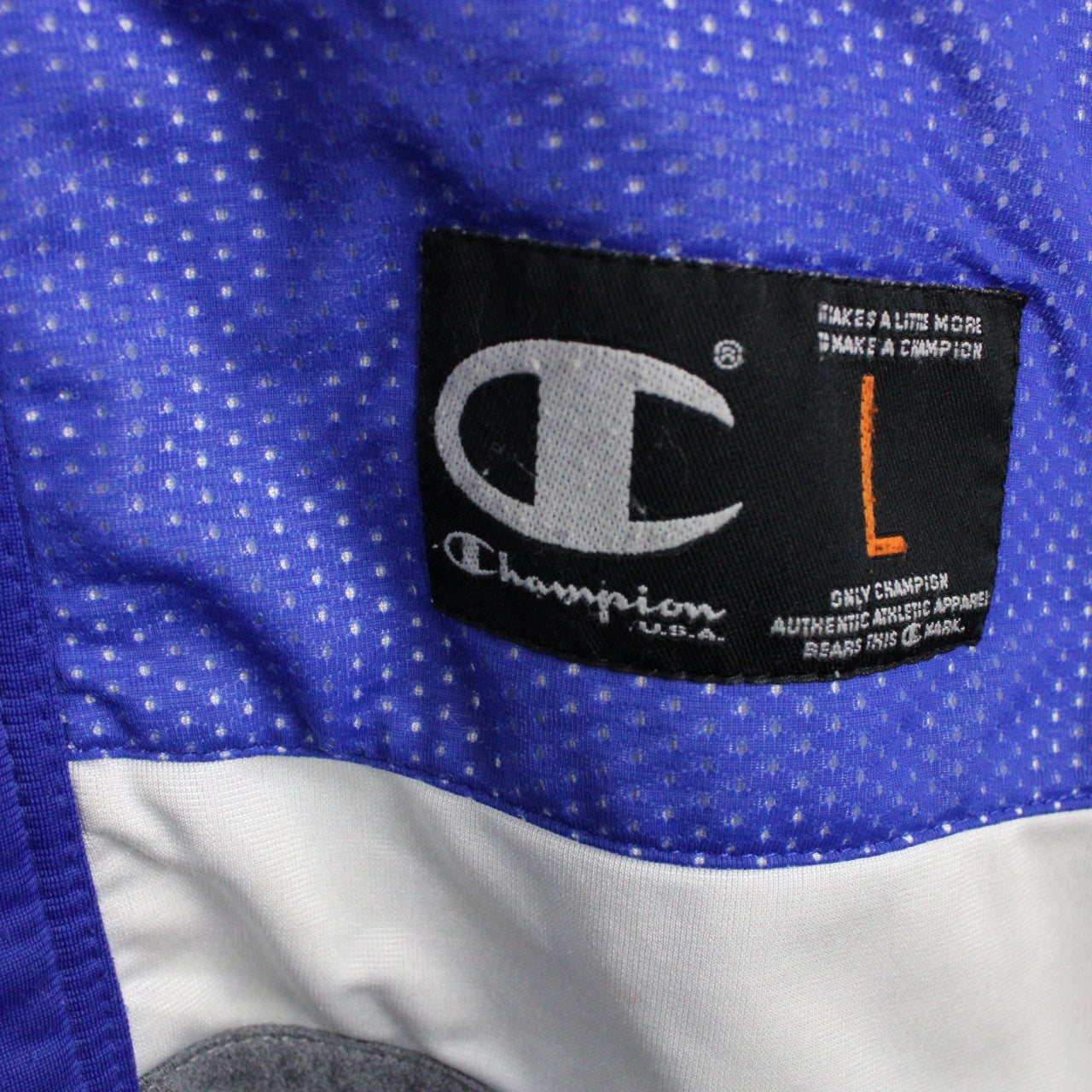 Vintage CHAMPION Track Top Blue | Large