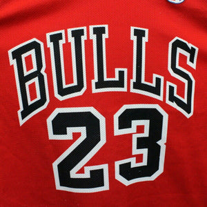 Vintage CHAMPION Chicago BULLS Jersey | Small