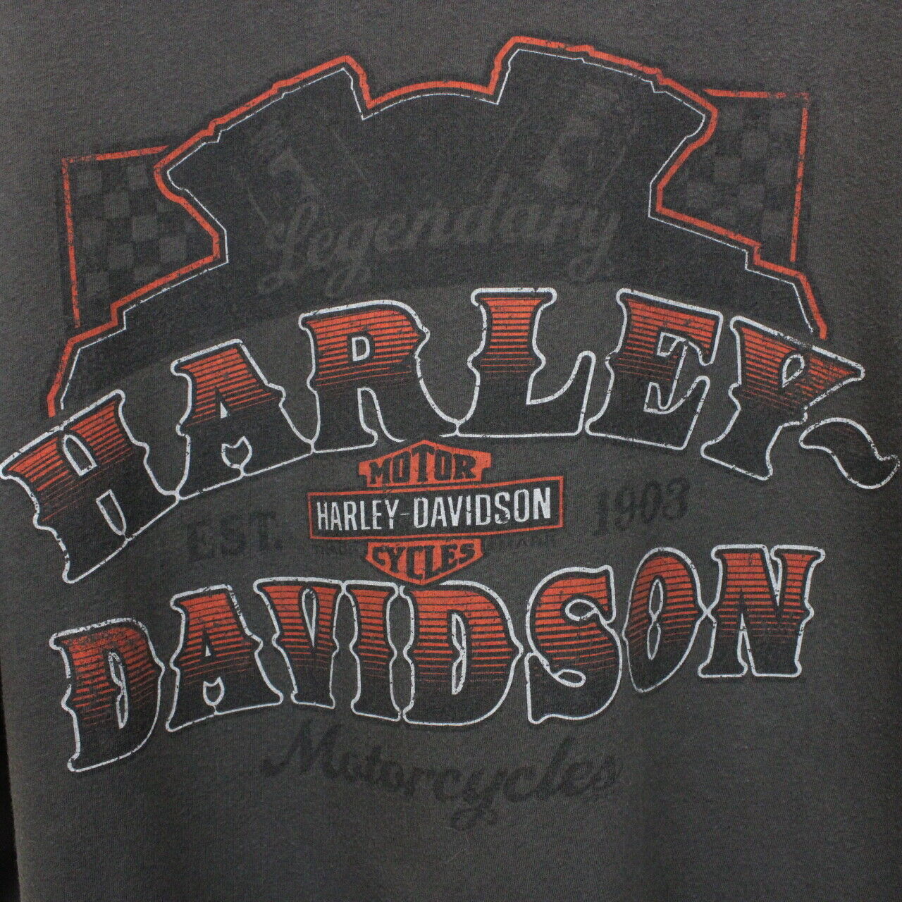 HARLEY DAVIDSON 00s T-Shirt Grey | Large
