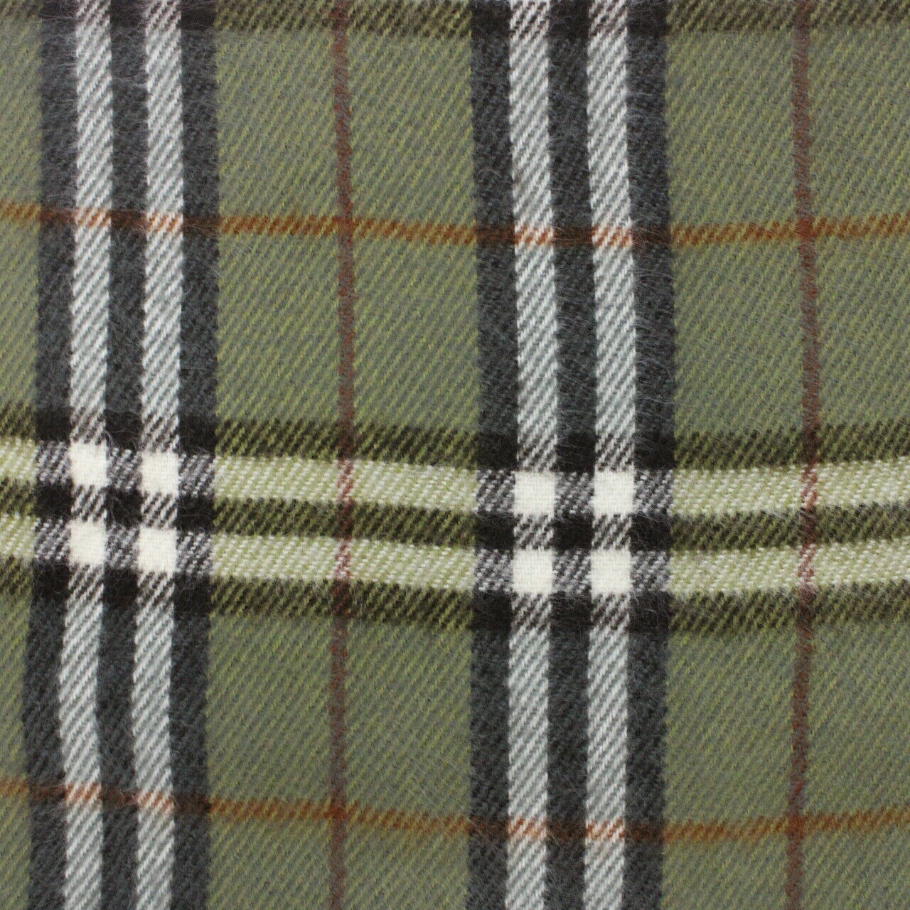 BURBERRY 00s Nova Check Scarf | Green